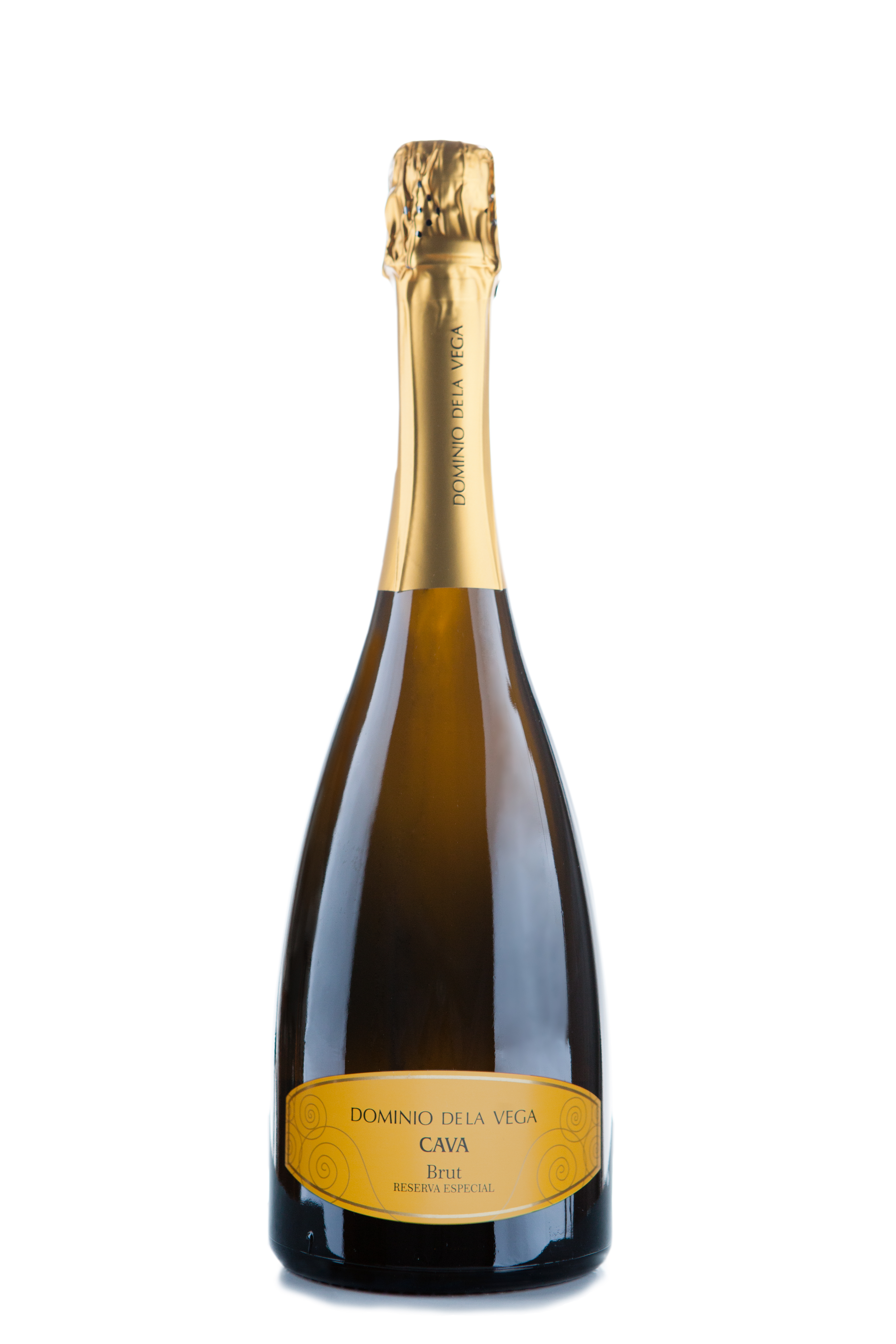 Cava Brut Reserva Dominio de la VEGA 50 Great Sparkling Wines of the ...